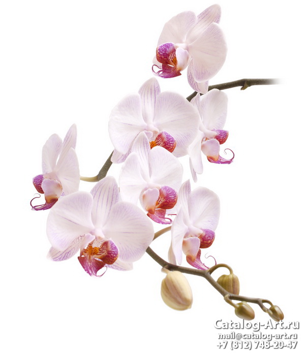 Натяжные потолки с фотопечатью - Розовые орхидеи 45